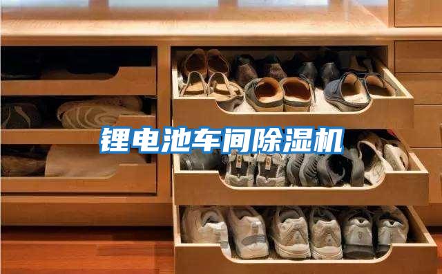 鋰電池車(chē)間除濕機(jī)