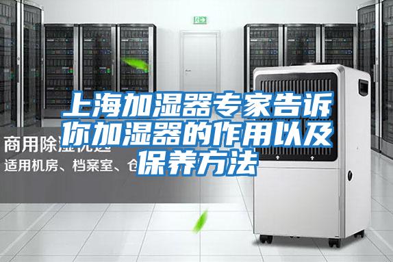 上海加濕器專家告訴你加濕器的作用以及保養方法