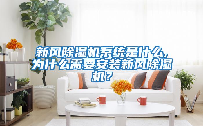 新風除濕機系統(tǒng)是什么,為什么需要安裝新風除濕機？