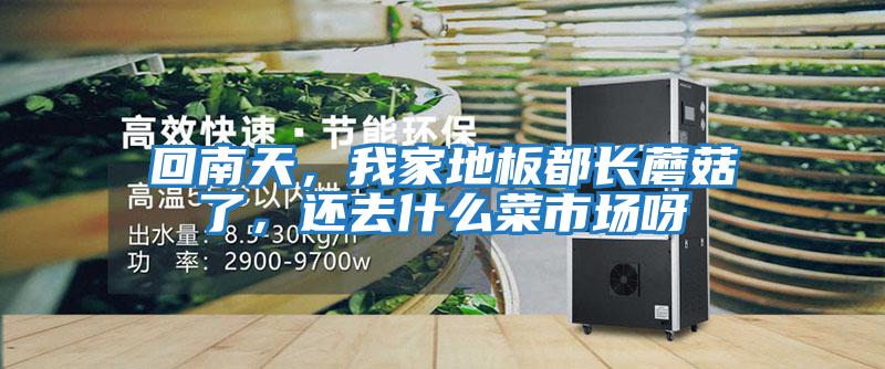 回南天,我家地板都長蘑菇了,還去什么菜市場呀