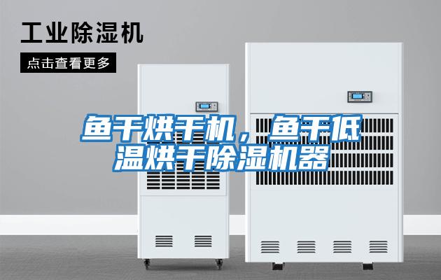 魚(yú)干烘干機(jī)，魚(yú)干低溫烘干除濕機(jī)器