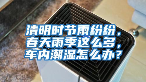 清明時節(jié)雨紛紛，春天雨季這么多，車內(nèi)潮濕怎么辦？