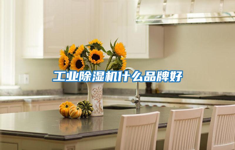 工業除濕機什么品牌好