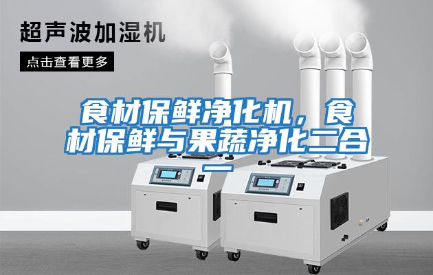食材保鮮凈化機，食材保鮮與果蔬凈化二合一