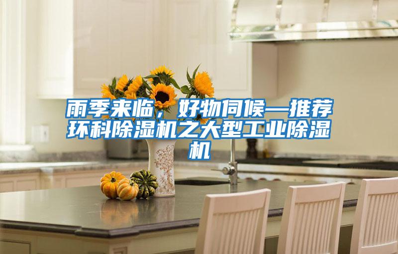 雨季來臨，好物伺候—推薦環(huán)科除濕機(jī)之大型工業(yè)除濕機(jī)