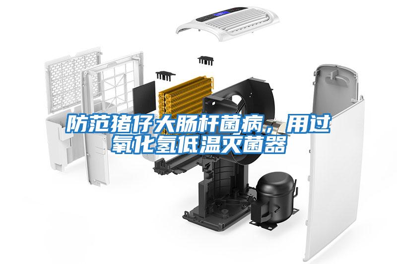 防范豬仔大腸桿菌病，用過氧化氫低溫滅菌器