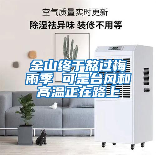 金山終于熬過(guò)梅雨季 可是臺(tái)風(fēng)和高溫正在路上