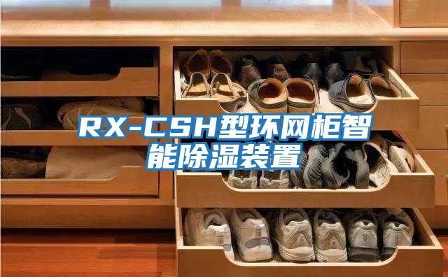 RX-CSH型環網柜智能除濕裝置