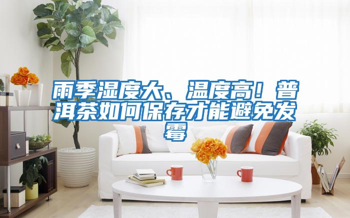 雨季濕度大、溫度高！普洱茶如何保存才能避免發霉