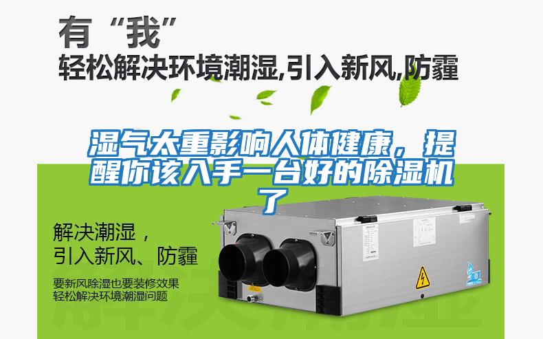 濕氣太重影響人體健康，提醒你該入手一臺好的除濕機(jī)了
