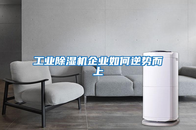 工業(yè)除濕機(jī)企業(yè)如何逆勢(shì)而上