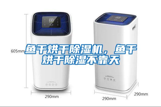 魚(yú)干烘干除濕機(jī)，魚(yú)干烘干除濕不靠天