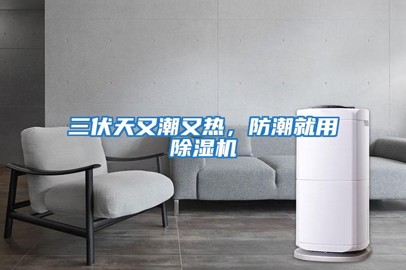 三伏天又潮又熱，防潮就用除濕機