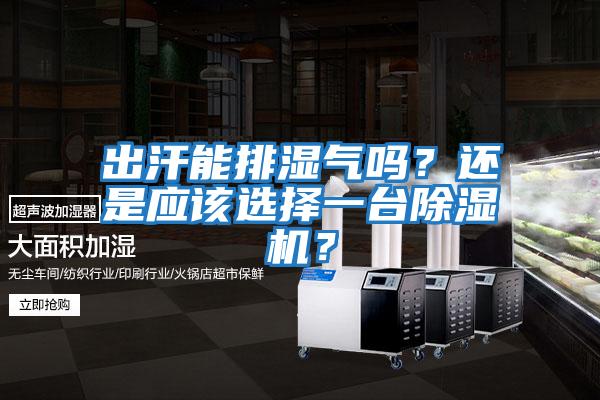 出汗能排濕氣嗎？還是應該選擇一臺除濕機？