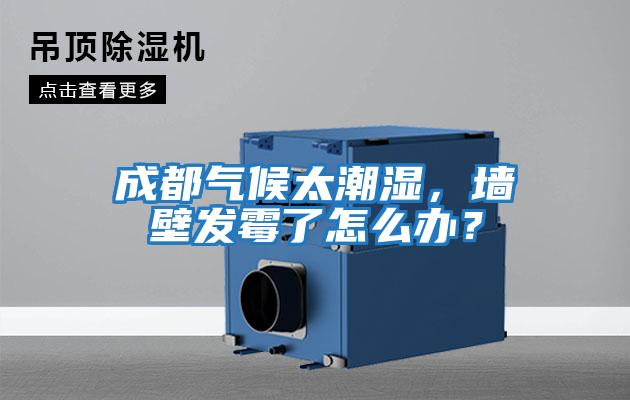 成都?xì)夂蛱睗瘢瑝Ρ诎l(fā)霉了怎么辦？