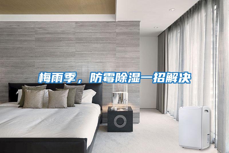 梅雨季，防霉除濕一招解決