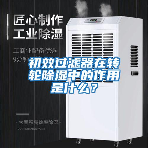 初效過濾器在轉輪除濕中的作用是什么？