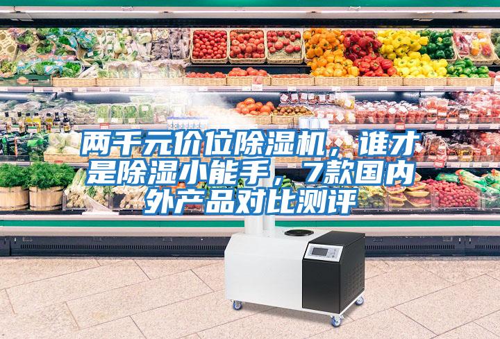 兩千元價位除濕機，誰才是除濕小能手，7款國內外產品對比測評