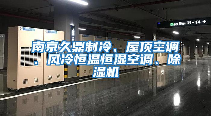 南京久鼎制冷、屋頂空調、風冷恒溫恒濕空調、除濕機