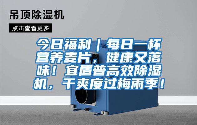 今日福利｜每日一杯營養(yǎng)麥片，健康又落味！宜盾普高效除濕機，干爽度過梅雨季！