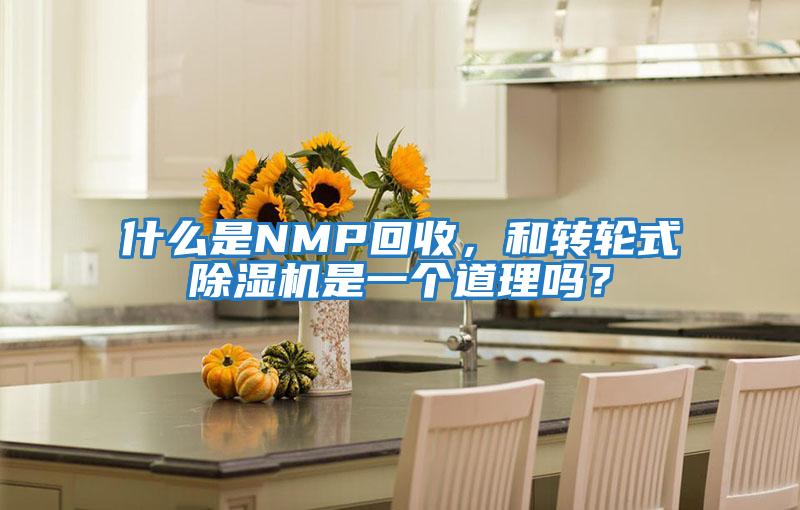 什么是NMP回收，和轉輪式除濕機是一個道理嗎？