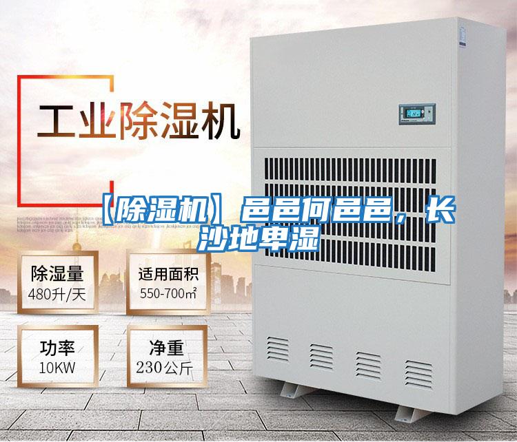 【除濕機】邑邑何邑邑,長沙地卑濕