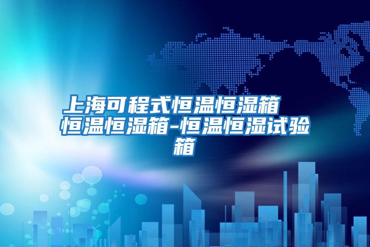 上海可程式恒溫恒濕箱 恒溫恒濕箱-恒溫恒濕試驗(yàn)箱