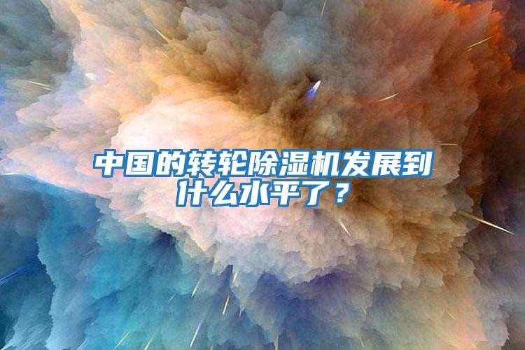 中國的轉(zhuǎn)輪除濕機發(fā)展到什么水平了？