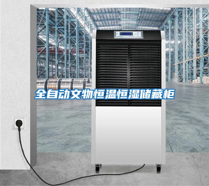 全自動(dòng)文物恒溫恒濕儲藏柜