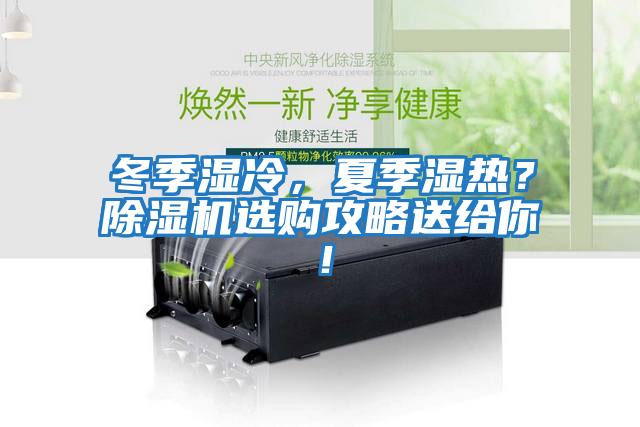 冬季濕冷，夏季濕熱？除濕機選購攻略送給你！