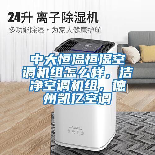 中大恒溫恒濕空調(diào)機(jī)組怎么樣，潔凈空調(diào)機(jī)組，德州凱億空調(diào)