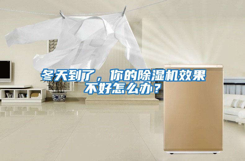 冬天到了，你的除濕機效果不好怎么辦？