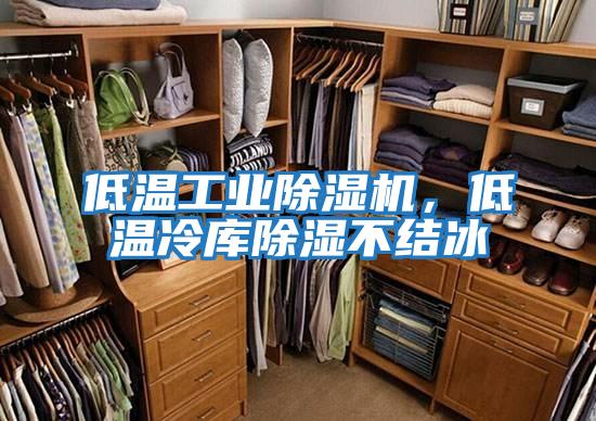 低溫工業(yè)除濕機，低溫冷庫除濕不結(jié)冰