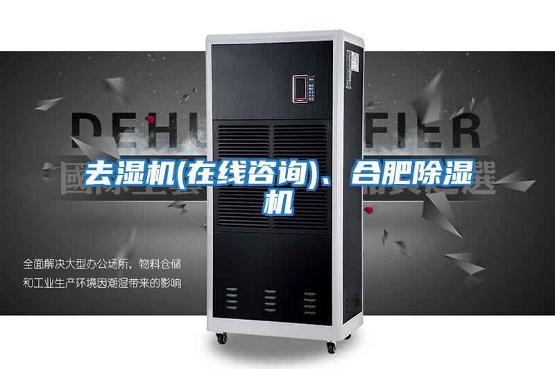 去濕機(在線咨詢)、合肥除濕機