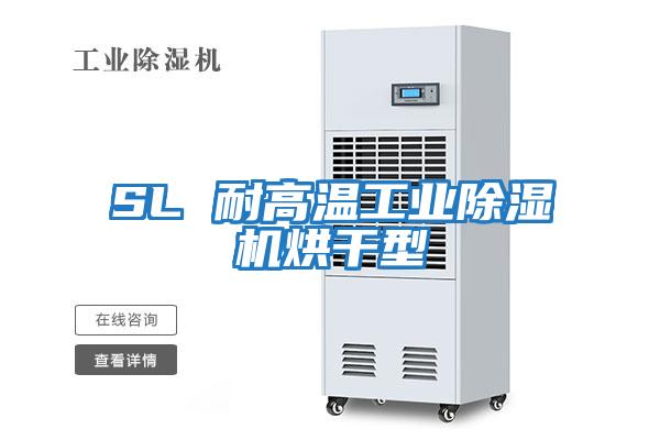 SL 耐高溫工業(yè)除濕機烘干型