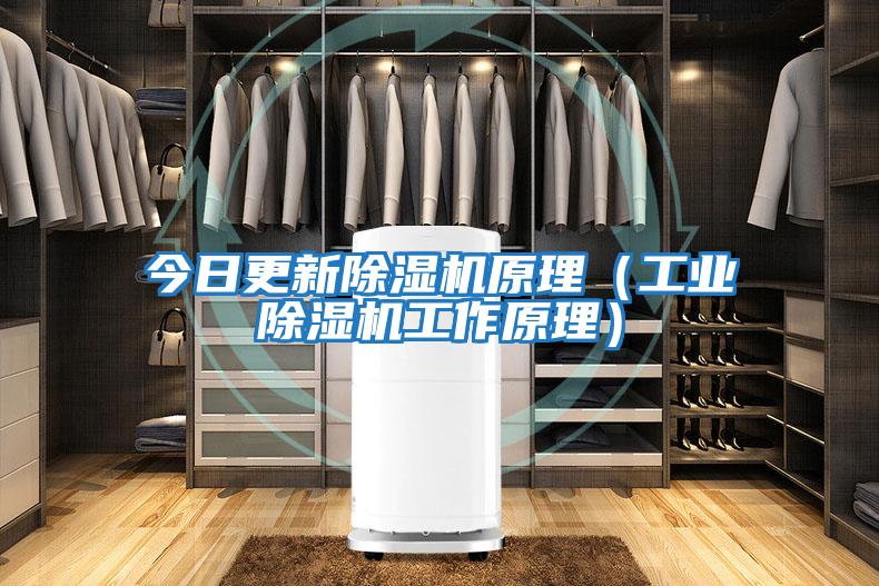 今日更新除濕機(jī)原理(工業(yè)除濕機(jī)工作原理)