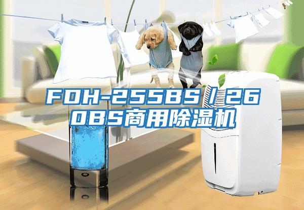 FDH-255BS/260BS商用除濕機(jī)