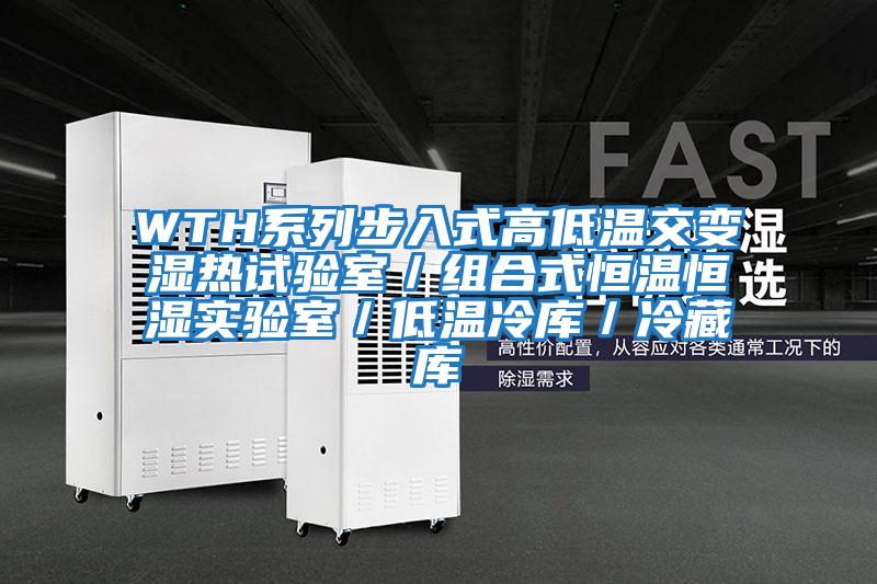 WTH系列步入式高低溫交變濕熱試驗(yàn)室/組合式恒溫恒濕實(shí)驗(yàn)室/低溫冷庫(kù)/冷藏庫(kù)
