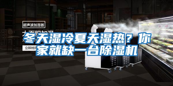 冬天濕冷夏天濕熱？你家就缺一臺除濕機