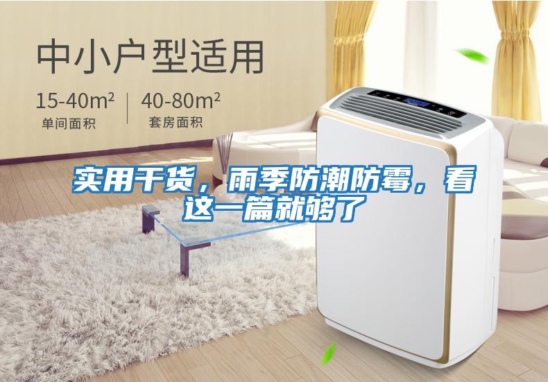 實用干貨，雨季防潮防霉，看這一篇就夠了