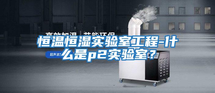 恒溫恒濕實驗室工程-什么是p2實驗室？