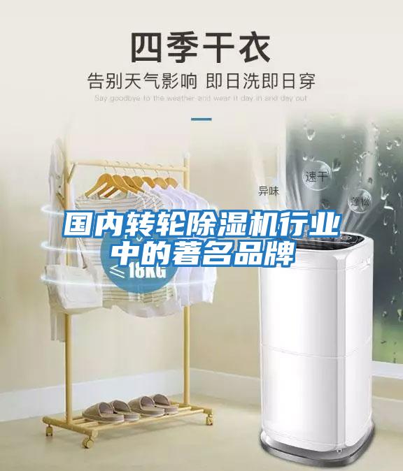 國內轉輪除濕機行業(yè)中的著名品牌