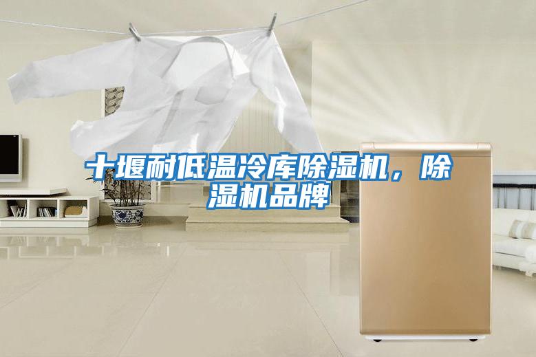 十堰耐低溫冷庫除濕機,除濕機品牌