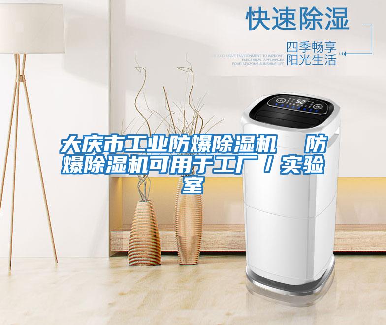 大慶市工業防爆除濕機 防爆除濕機可用于工廠/實驗室