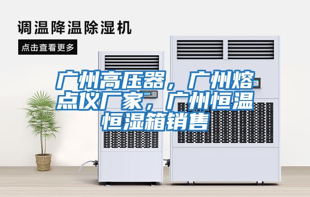 廣州高壓器，廣州熔點(diǎn)儀廠家，廣州恒溫恒濕箱銷售