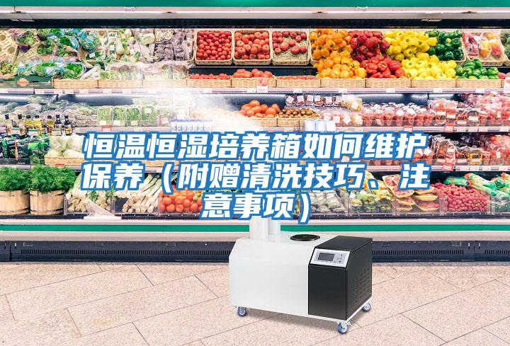 恒溫恒濕培養箱如何維護保養（附贈清洗技巧、注意事項）