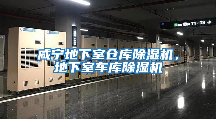 咸寧地下室倉庫除濕機,地下室車庫除濕機