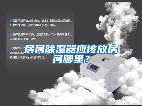 房間除濕器應該放房間哪里？