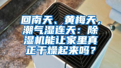 回南天、黃梅天，潮氣濕連天：除濕機能讓家里真正干燥起來嗎？