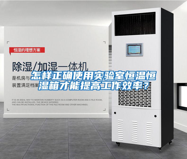 怎樣正確使用實驗室恒溫恒濕箱才能提高工作效率？